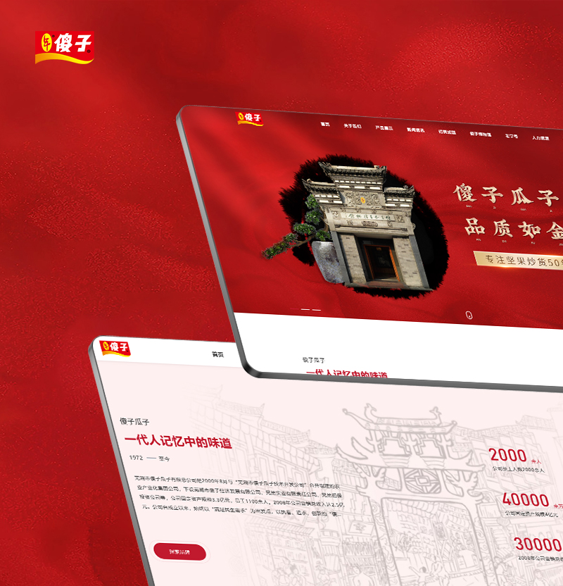 傻子瓜子